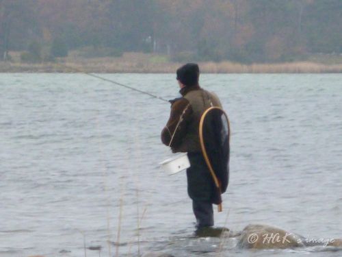 P1040336.JPG P1040336.JPG