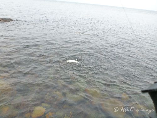 P1040370.JPG P1040370.JPG