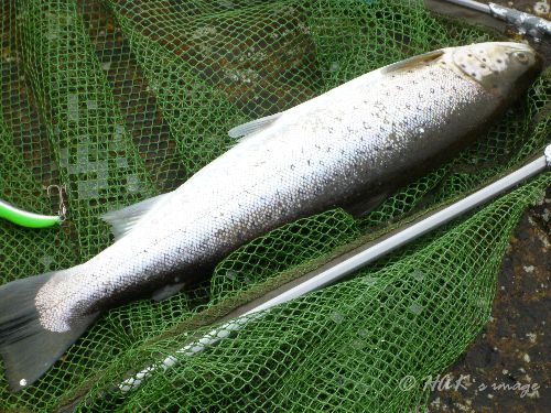 P1040383.JPG P1040383.JPG