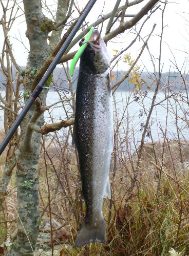 P1040384.JPG P1040384.JPG