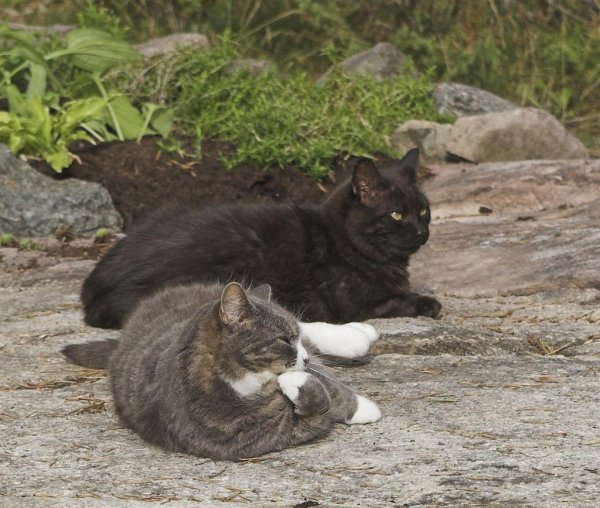 IMG_0724-01 (Large).jpg