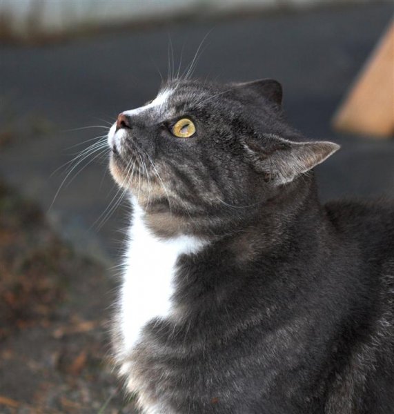 IMG_3619-01 (Large).jpg