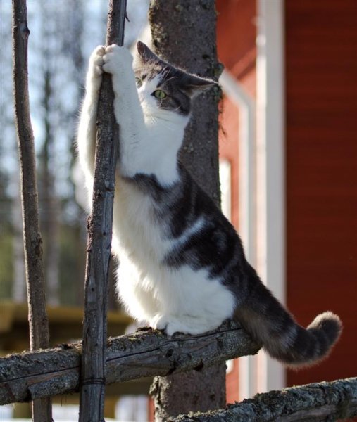 IMG_0904 (Large).jpg