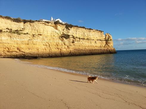 Stranden3.JPG Stranden3.JPG