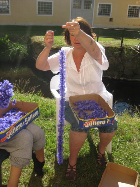 IMG_5155.JPG