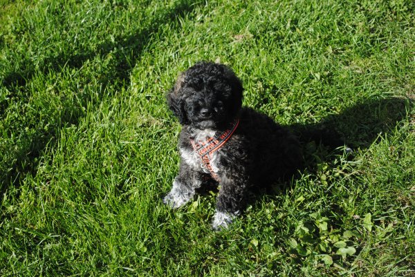 Med Calles Kamera 015.JPG