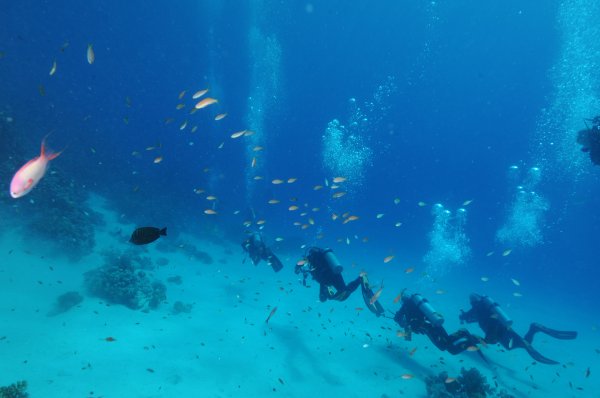 Dalton brothers.jpg Dalton brothers.jpg