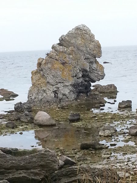 20120817_112015.jpg 20120817_112015.jpg