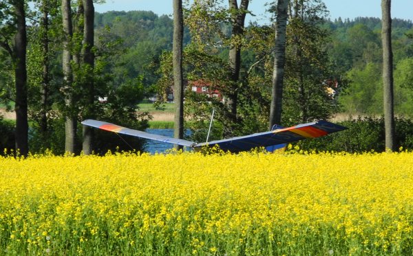 Ragge flyger (5) hbk.jpg