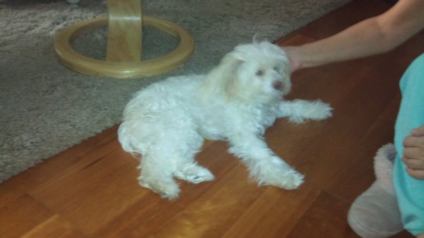 23.November 2012 006.JPG