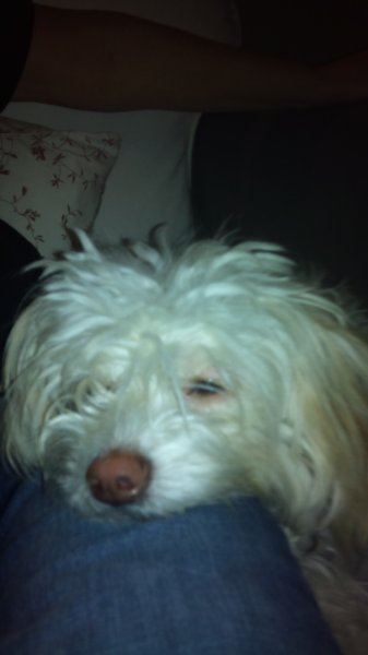 23.November 2012 007.JPG