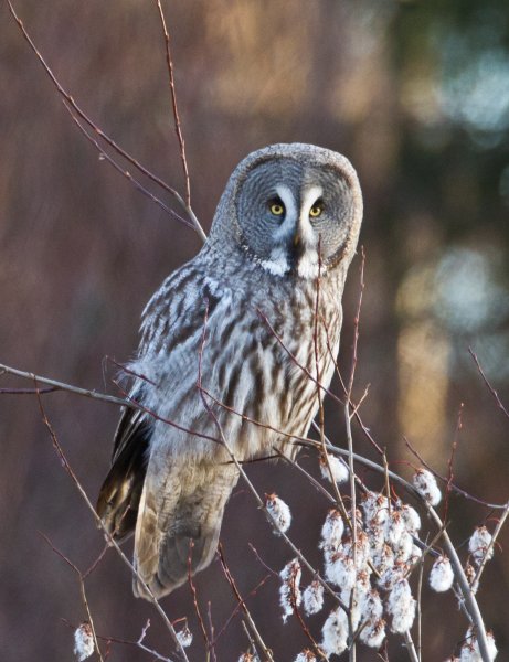 IMG_4605.jpg IMG_4605.jpg