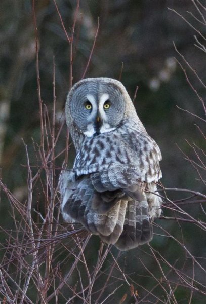 IMG_4590 (Large).jpg