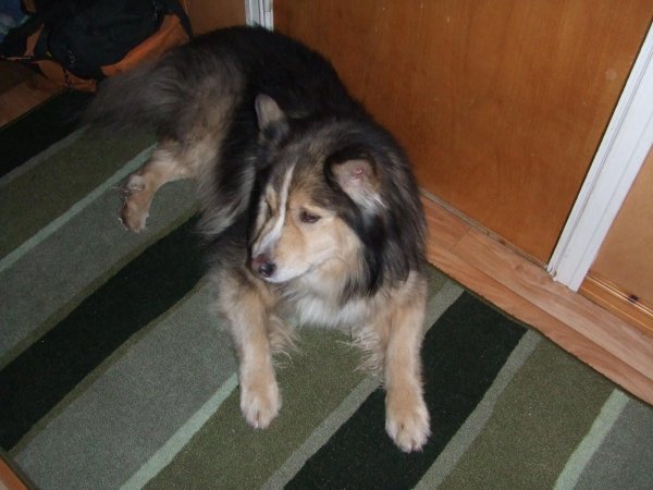 704789_4368881452793_1382558848_o.jpg 704789_4368881452793_1382558848_o.jpg