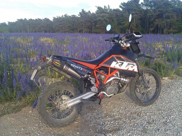 offroad.jpg offroad.jpg