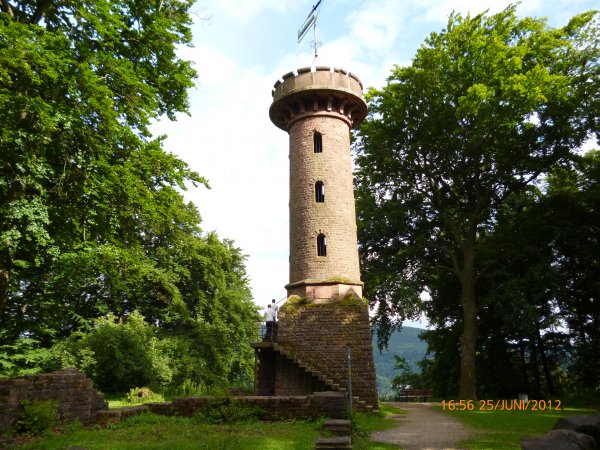 P1000411.JPG P1000411.JPG