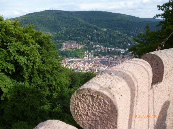 P1000414.JPG P1000414.JPG