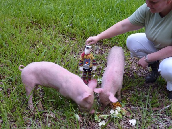 P1010391.jpg P1010391.jpg