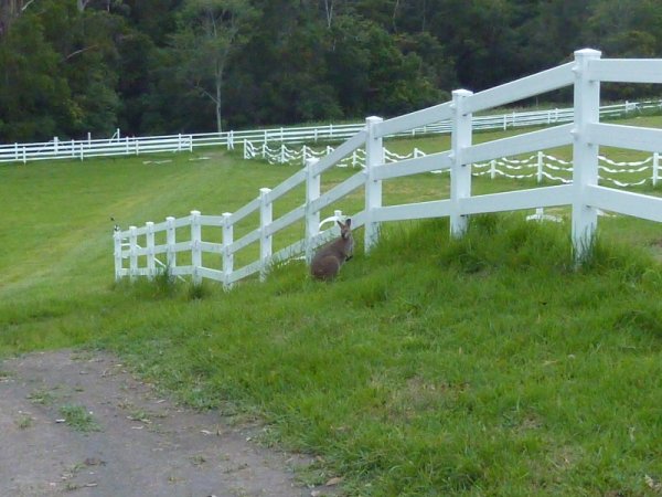 P1010409.jpg P1010409.jpg