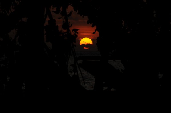 Solnedgång.jpg