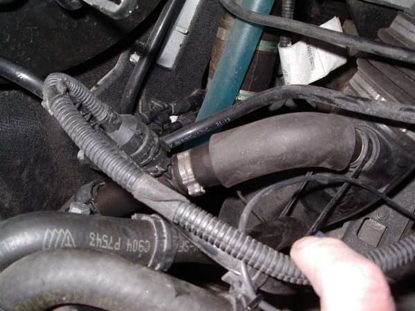 IMGP9941 (Medium).JPG