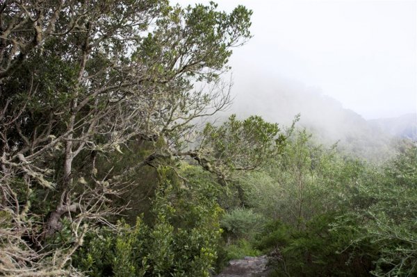 La Gomera -07 (Large).jpg La Gomera -07 (Large).jpg