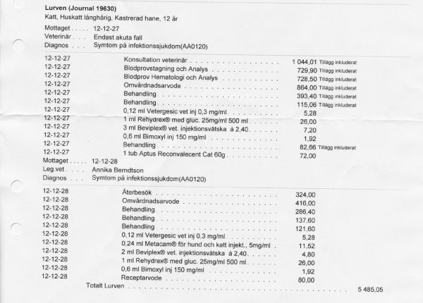 Lurvens räkning.jpg