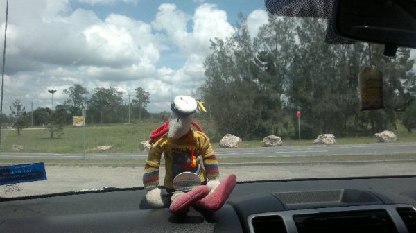 1 Grafton Interchange.jpg