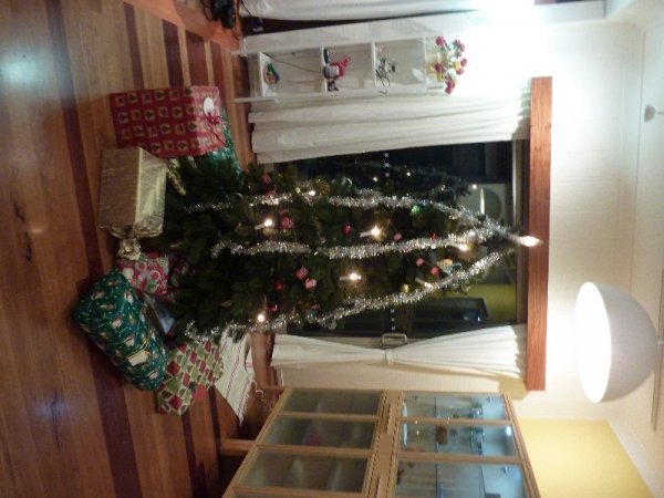 P1010538.jpg P1010538.jpg