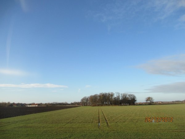 Jul06 Bjärehalvön (800x600).jpg Jul06 Bjärehalvön (800x600).jpg