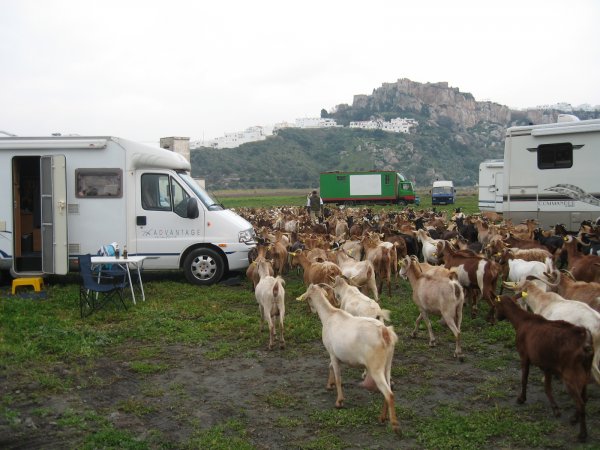 Salobrena 001.jpg Salobrena 001.jpg