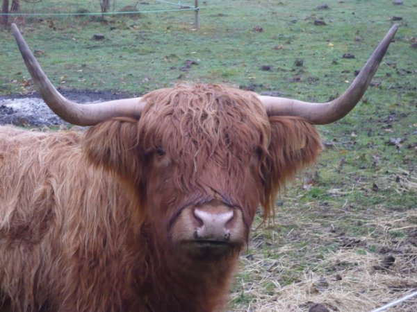 P1030256 (640x480).jpg