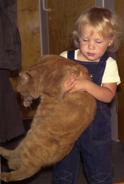 Hjälp med förflyttning (Large).jpg Hjälp med förflyttning (Large).jpg