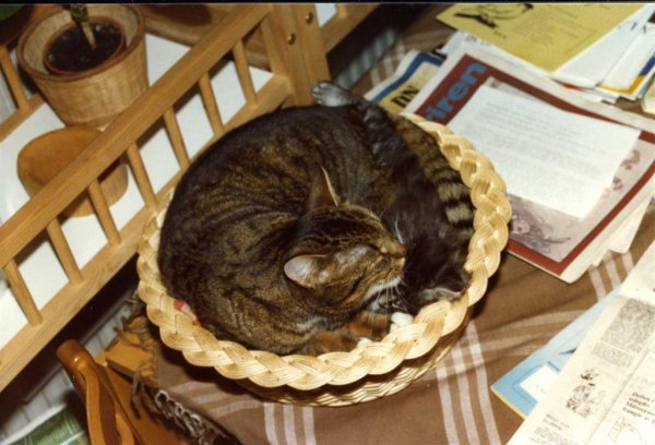 Putsning (Large).jpg Putsning (Large).jpg