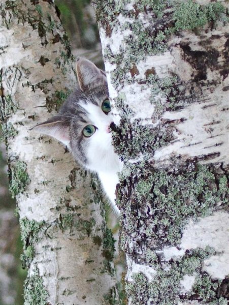 Lekterapi (Large).jpg Lekterapi (Large).jpg