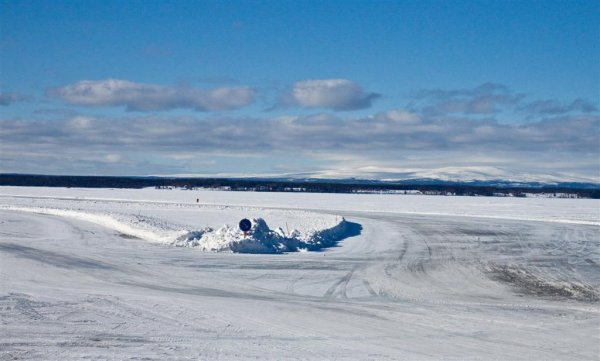 IMG_1374 (Large).jpg IMG_1374 (Large).jpg