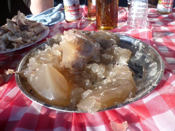 Grisfot5.JPG Grisfot5.JPG