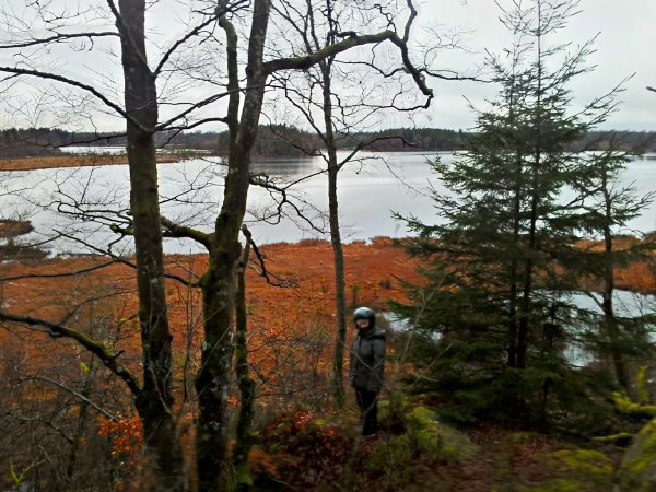 2013-01-06 15.23.19.jpg