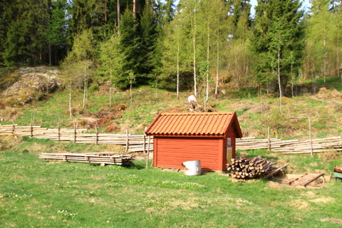 hägnen 003.JPG