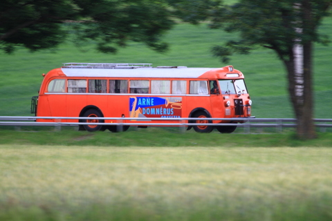 tisdags älgar 132.JPG