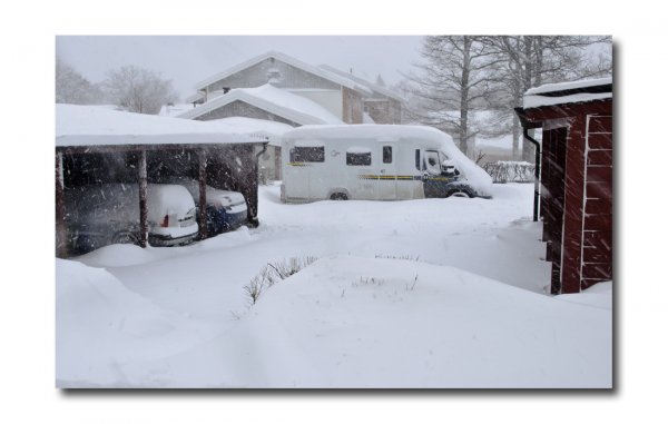 _DSC0555any.jpg _DSC0555any.jpg