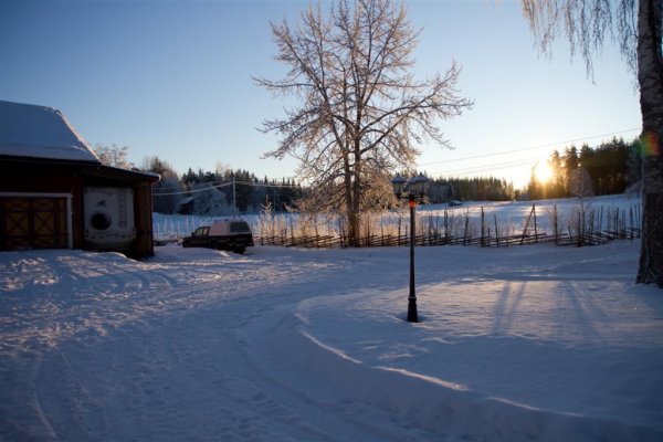 IMG_4666 (Large).jpg IMG_4666 (Large).jpg