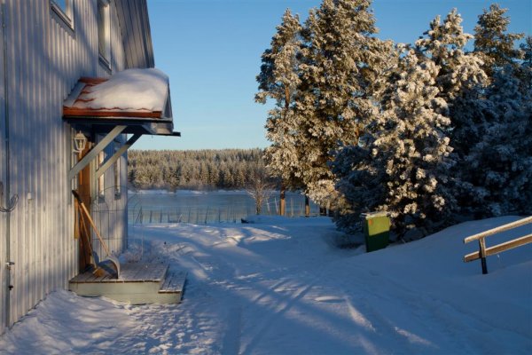 IMG_4668 (Large).jpg IMG_4668 (Large).jpg