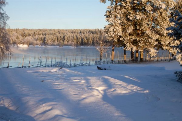 IMG_4669 (Large).jpg IMG_4669 (Large).jpg