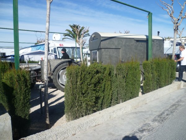 P1010769(1).JPG P1010769(1).JPG