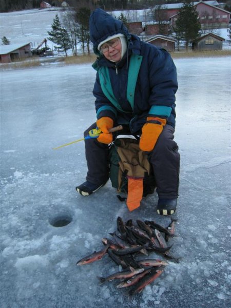 IMG_0398 (Large).JPG