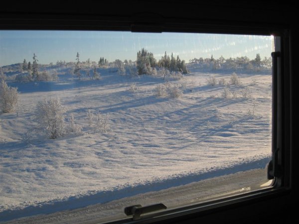 IMG_0418 (Large).JPG