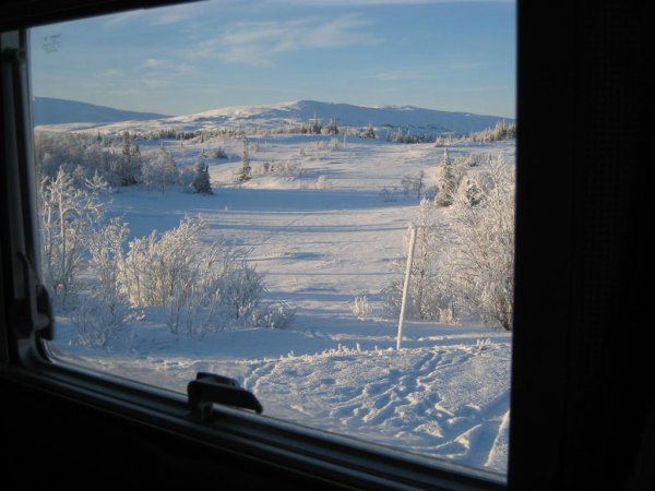 IMG_0419 (Large).JPG