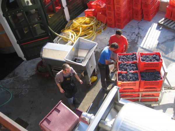 vinresa Italien 2008 038.jpg