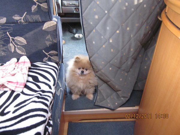 camping lae Florida 007.JPG camping lae Florida 007.JPG